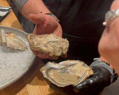 WhatsApp Image 2026-03-25 at 20.33.54